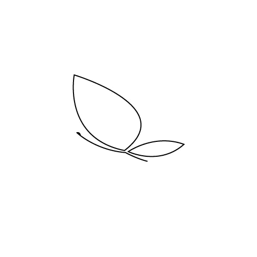 Makijaż permanentny Soft Eyeliner & Butterfly Effect